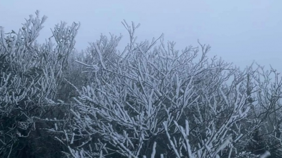 Northern Vietnam braces for deep freeze from November 17